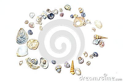 Ð¡ircle of small marine colored orange blue pink purple seashells of different sizes and shapes on white background. Design Stock Photo